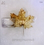 А В О С Ь Непридуманный Формат: Audio CD (Jewel Case) Дистрибьютор: Бомба-Питер Россия Лицензионные товары Характеристики аудионосителей 2009 г Альбом: Российское издание инфо 6874f.
