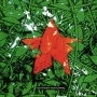 Schtimm Featuring… Формат: Audio CD (Jewel Case) Дистрибьюторы: Концерн "Группа Союз", ZAKAT Россия Лицензионные товары Характеристики аудионосителей 2009 г Альбом: Российское издание инфо 9266f.