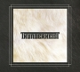 Thunderheist Thunderheist Формат: Audio CD (DigiPack) Дистрибьюторы: Big Dada Recording, Концерн "Группа Союз" Лицензионные товары Характеристики аудионосителей 2010 г Альбом: Импортное издание инфо 13081h.