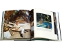 A Place in the Sun Издательство: Harry N Abrams, 2005 г Суперобложка, 244 стр ISBN 0-8109-5935-6 Язык: Английский Мелованная бумага, Цветные иллюстрации инфо 13723h.